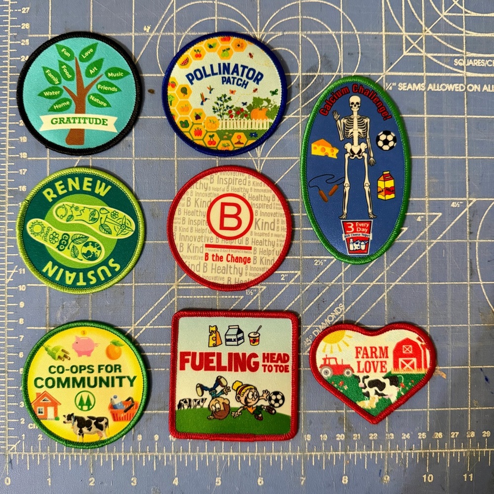 Colorful Embroidered Patches Set of 8- dairy board